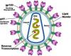 AIDS-t okozó vírus