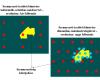 Static and dynamic methods  for the assessment of  contamination 