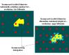 Static and dynamic methods  for the assessment of  contamination 