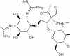  Streptomycin