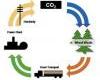 Biomass-energy