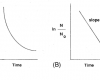 Thermal death graphs