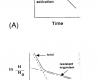 Death of microorganisms-nonlinearity