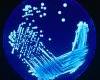 Remediation based on microbiological process 