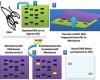 http://www.molecularstation.com/dna/southern-blot/